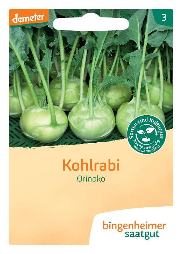 Produktfoto zu Saatgut - Kohlrabi weiß