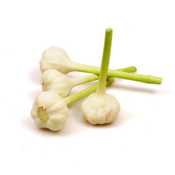 Produktfoto zu Knoblauch frisch