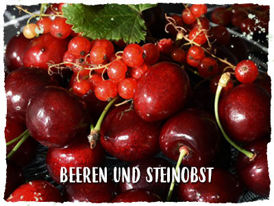 Beeren und Steinobst