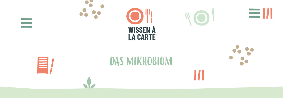 KI generiert: Das Bild zeigt ein grafisches Design mit dem Text "Wissen à la Carte" und "Das Mikrobiom" in der Mitte. Es ist umgeben von Symbolen wie Tellern, Besteck und Notizseiten in sanften Farben.