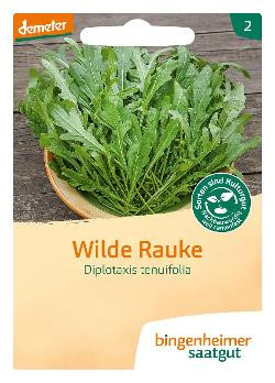 Produktfoto zu Saatgut - Salatrauke Rucola