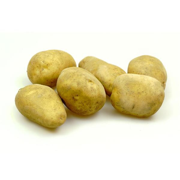 Produktfoto zu Kartoffeln - mehligkochend, Sorte Rumba - 2kg