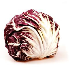 Produktfoto zu Radicchio