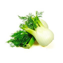 Produktfoto zu Fenchel