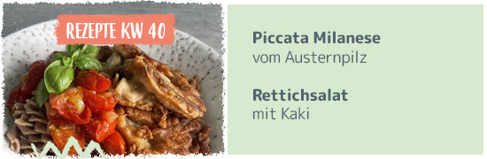 Teaser Kachel KW 38 2023 - Gemüseragout, Risotto mit süß saurem Kürbis-Apfelgemüse