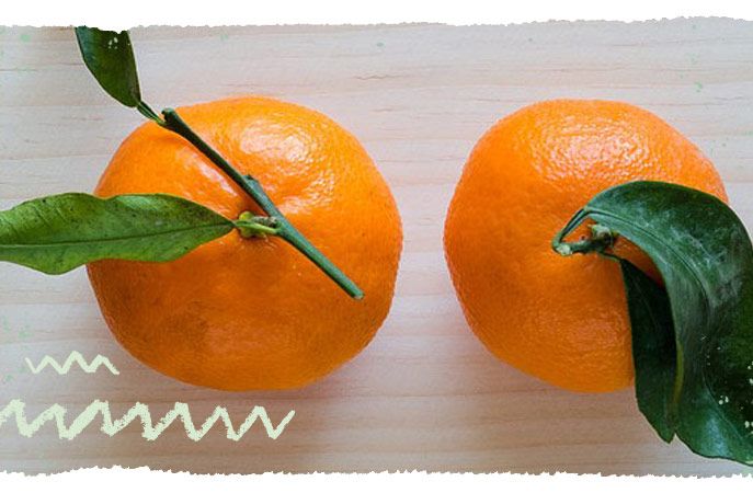 Unterschied Clementine und Mandarine