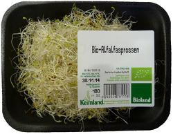 Produktfoto zu Alfalfa Sprossen - 100g